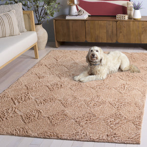 Safavieh Easy Modern Area Rug - Chic 5' X 8' Rectangle Design, Washable, Sustainable Cotton, Soft Comfort Orange Recycled Cotton Ecr226p-5