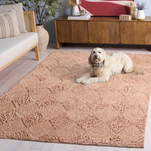 Safavieh Easy Care 226b Area Rug - Stylish, Washable Cotton Design For Comfort And Durability In Your Home Orange Recycled Cotton Ecr226p-6