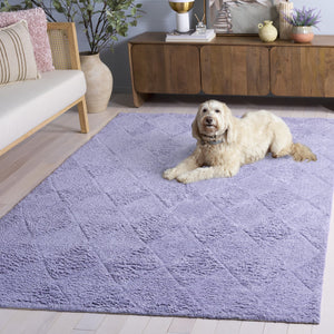 Safavieh Easy Modern Area Rug - Chic 5' X 8' Rectangle Design, Washable, Sustainable Cotton, Soft Comfort Lilac Recycled Cotton Ecr226v-5