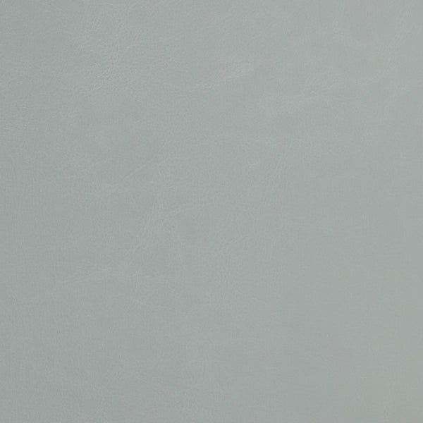 English Elm Series Remote Powered Lift Recliner for Elderly