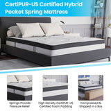 English Elm 10 Inch CertiPUR-US Certified Hybrid Pocket Spring Mattress, Queen Mattress in a Box