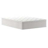 English Elm Commercial Grade Hospitality Grade Commercial Queen Mattress in a Box 14 Inch, Premium Memory Foam Hybrid Pocket Spring Mattress with Reinforced Edge Support