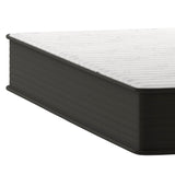 English Elm 10 Inch Hybrid Mattress, Queen Size High Density Foam and Pocket Spring Mattress in a Box, CertiPur-US Certified Foam, /Black