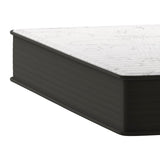 English Elm 10 Inch Hybrid Mattress, Twin Size High Density Foam and Pocket Spring Mattress in a Box, CertiPur-US Certified Foam, /Black