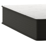 English Elm 12 Inch Hybrid Mattress, Queen Size High Density Foam and Pocket Spring Mattress in a Box, CertiPur-US Certified Foam, /Black