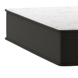 English Elm 12 Inch Hybrid Mattress, Twin Size High Density Foam and Pocket Spring Mattress in a Box, CertiPur-US Certified Foam, /Black