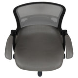 English Elm Commercial Grade High Back Mesh Ergonomic Swivel Office Chair with Black Frame and Flip-up Arms