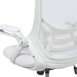 English Elm Commercial Grade High Back Mesh Ergonomic Swivel Office Chair with Frame and Flip-up Arms