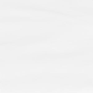 English Elm Commercial Grade 10'x10' Outdoor Pop Up Event Slanted Leg Canopy Tent with Carry Bag