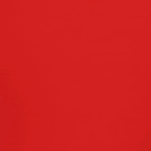 English Elm Adirondack Chair with Cup Holder, Weather Resistant HDPE Adirondack Chair