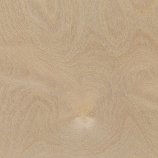 English Elm Commercial Grade Wooden 8 Section School Classroom Storage Cabinet for Commercial or Home Use - Safe, Kid Friendly Design - 36"H ()