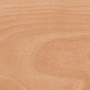 English Elm Commercial Grade 4-Foot Half-Round Wood Folding Banquet Table