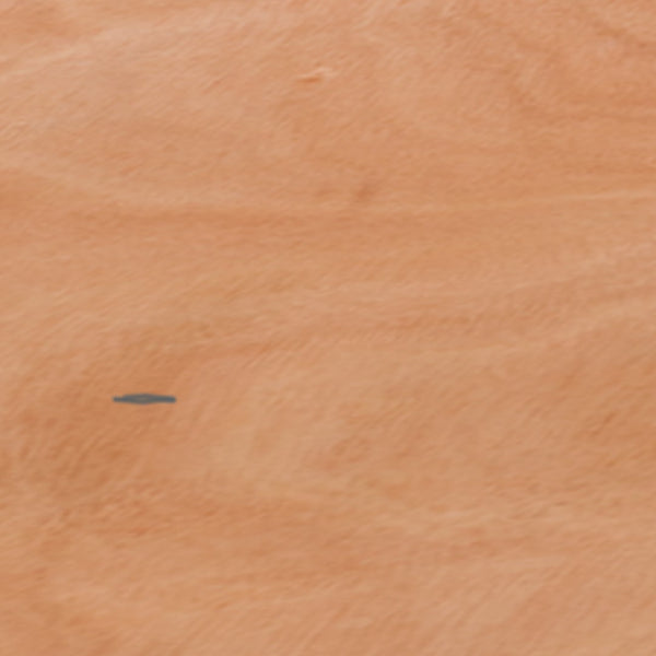 English Elm Commercial Grade 5-Foot Half-Round Wood Folding Banquet Table