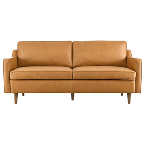 Modway Furniture Impart Genuine Leather Sofa - Elegant Mid-Century Design for Small Spaces, Supportive Comfort & Style Tan EEI-5553-TAN