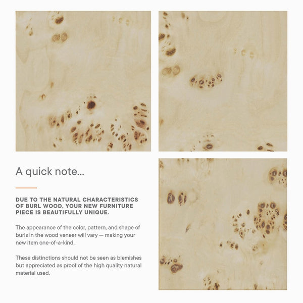 Modway Furniture Elysian 24" Wood Bathroom Vanity - Handcrafted White Burl Design with Ceramic Sink & Storage Space EEI-6439-WHI-BUR