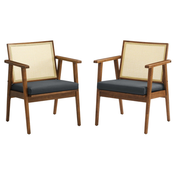 Modway Furniture Thera Mid-Century Vegan Leather & Cane Accent Armchairs Set of 2 for Stylish Home Decor Walnut Black EEI-6921-WAL-BLK