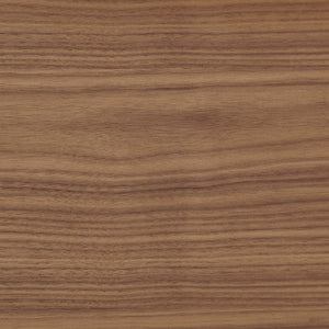 Barney Modern Floating Wall Shelf with Veneer Finish for Books and Decorative Displays