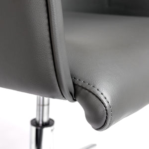 Sunny Pro Ergonomic Office Chair Polished Chrome Base Modern Workspace Seating