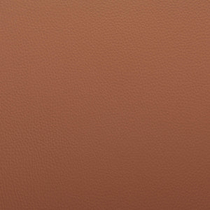 Ronja Contemporary Accent Chair Leatherette Seat Powder Coated Steel Legs Modern Lounge Seating