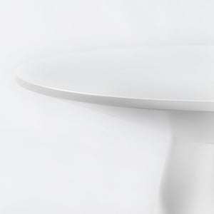 Wesley 24 Inch Round Side Table with Sleek Veneer Finish for Modern Living Room Accent Decor