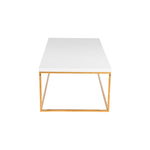 Teresa Rectangular Coffee Table with Glam Stainless Steel Base for Modern Living Rooms
