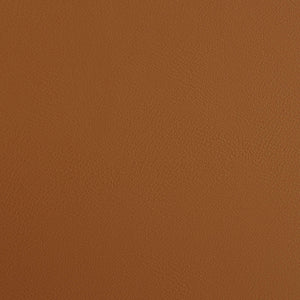 Blanche Leatherette Counter Stool Foam Padded Seat Elegant Seating for Kitchen or Bar Area