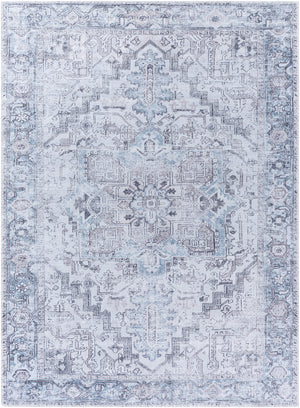 Embrace EMA-2303 8'10" x 12' Machine Woven Rug EMA2303-81012 Livabliss Surya