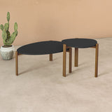 Manhattan Comfort Gales Mid-Century Modern End Table Matte Black ET-82742-BK