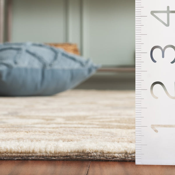 Safavieh Earthly Luxurious Hand-tufted Area Rug With Elegant Botanical Design For Sophisticated Living Spaces Ivory ,Grey 65% Wool,20% Cotton,15% Viscose Et205f-4