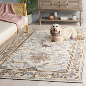 Safavieh Earthly Treasures Hand-tufted Area Rug - Elegant Transitional Design For Cozy Living Spaces Ivory ,Grey 65% Wool,20% Cotton,15% Viscose Et210f-6