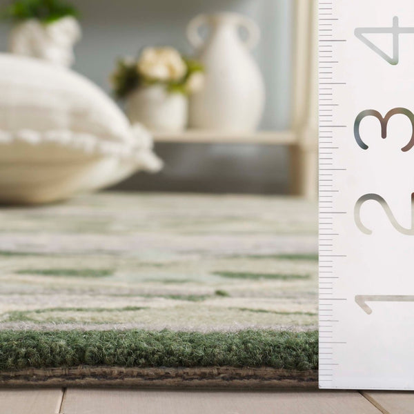 Safavieh Earthly Treasures Hand-tufted Area Rug - Elegant Transitional Design For Cozy Living Spaces Sage ,Beige 65% Wool,20% Cotton,15% Viscose Et210w-6