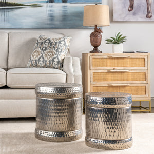 Colthurst Silver Stools - Set of 2 EVFNR1022SL Evolution by Crestview Collection