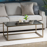 Christian Rectangular Iron & Glass Cocktail Table EVFNR1139 Evolution by Crestview Collection