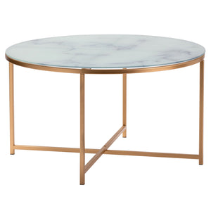 Aria Glass and Metal Cocktail Table EVFZR3236 Evolution by Crestview Collection