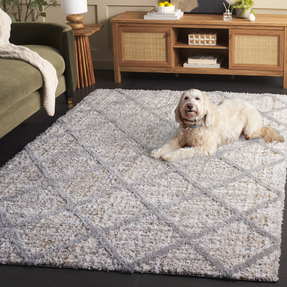 Safavieh Everett Plush Shag Rug Ivory Grey Geometric Modern Pattern | 1" Pile Power-Loomed Turkish Craftsmanship 4'-0" x 6'-0" EVR800A-4