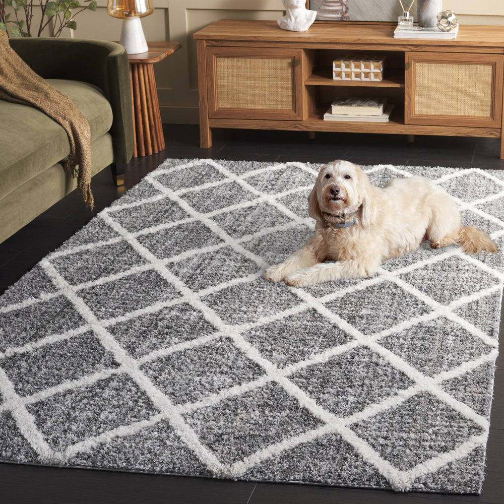 Safavieh Everett Plush Grey & Ivory Shag Rug — 1" Pile, Power-Loomed Turkey, Durable Polypropylene Comfort 4'-0" x 6'-0" EVR800F-4