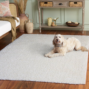 Safavieh Everett Plush Shag Ivory Area Rug — 1" Pile, Power-Loomed Turkey Durability, Soft Stain-Resistant Comfort 6'-7" x 6'-7" EVR804A-7SQ