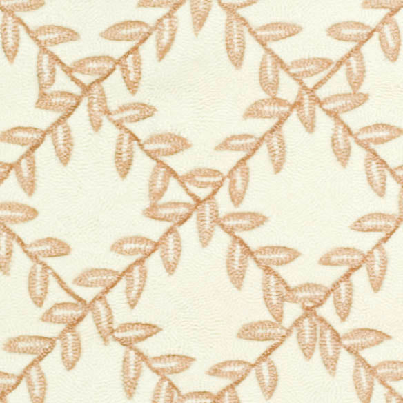 Safavieh Lattice Vine Hand Hooked  Rug Ivory / Beige EZC430C-2