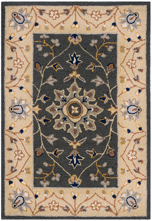 Safavieh Easy Care Hand Hooked  Rug Grey / Cream EZC751H-2