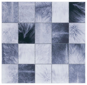 Safavieh Faux Hide 519 M/W S/R Power Loomed  Rug Light Grey / Grey FAH519F-6SQ