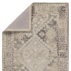 Jaipur Living Farryn Nesso Transitional Global Handmade Indoor Rug Gray 9'x12'