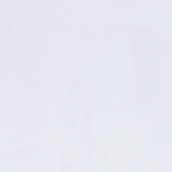 English Elm Cheryl Ghost Side Chair - Elegant Transparent Accent Chair in Modern Louis XVI Style for Any Space FH-111-APC-CLR-GG