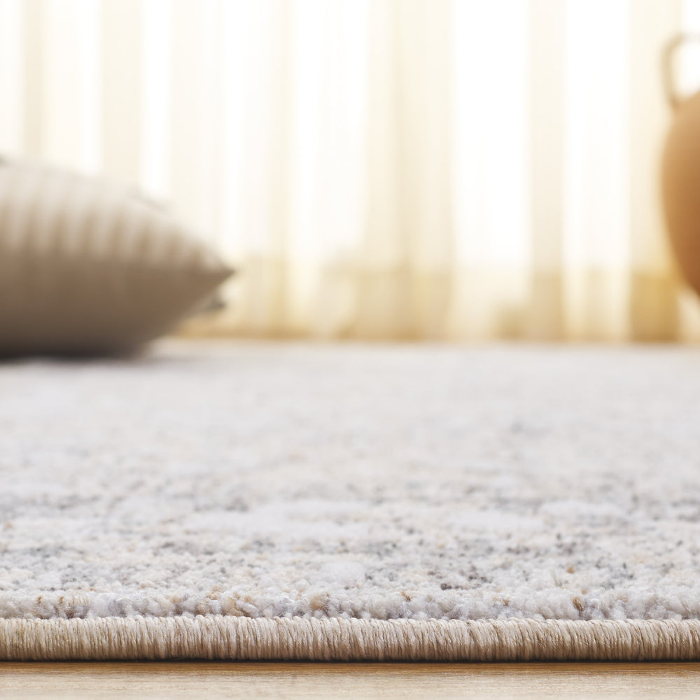 Safavieh Finley Elegant Area Rug - Timeless Power Loomed Design For Classic & Contemporary Interiors Grey ,Light Grey Polyester Fin320f-210