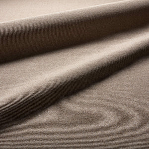 Jaipur Living Jaipur Living Texel Handwoven Polypropylene Looped Pile Rug for Patio or Entryway Brown RUG157267