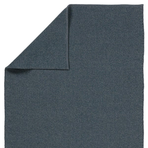 Jaipur Living Jaipur Living Texel Handwoven Polypropylene Looped Pile Rug for Patio or Entryway Navy RUG157752