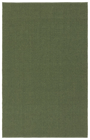 Jaipur Living Flint Texel FLI04 Handmade Handwoven Outdoor Rug Green 3' x 8' RNR