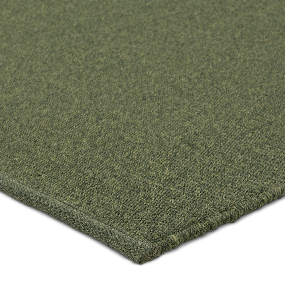 Jaipur Living Flint Texel FLI04 Handmade Handwoven Outdoor Rug Green 3' x 8' RNR