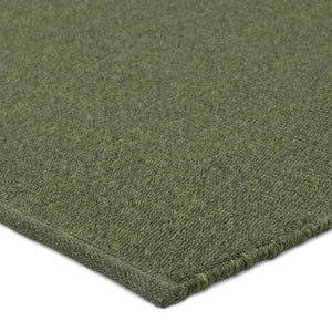 Jaipur Living Flint Texel FLI04 Handmade Handwoven Outdoor Rug Green 3' x 8' RNR