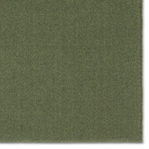 Jaipur Living Flint Texel FLI04 Handmade Handwoven Outdoor Rug Green 3' x 8' RNR