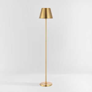 Safavieh ASHER, 60-Inch Brass Iron Floor Lamp - Elegant, Durable Lighting for Living Rooms & Bedrooms FLL4094A